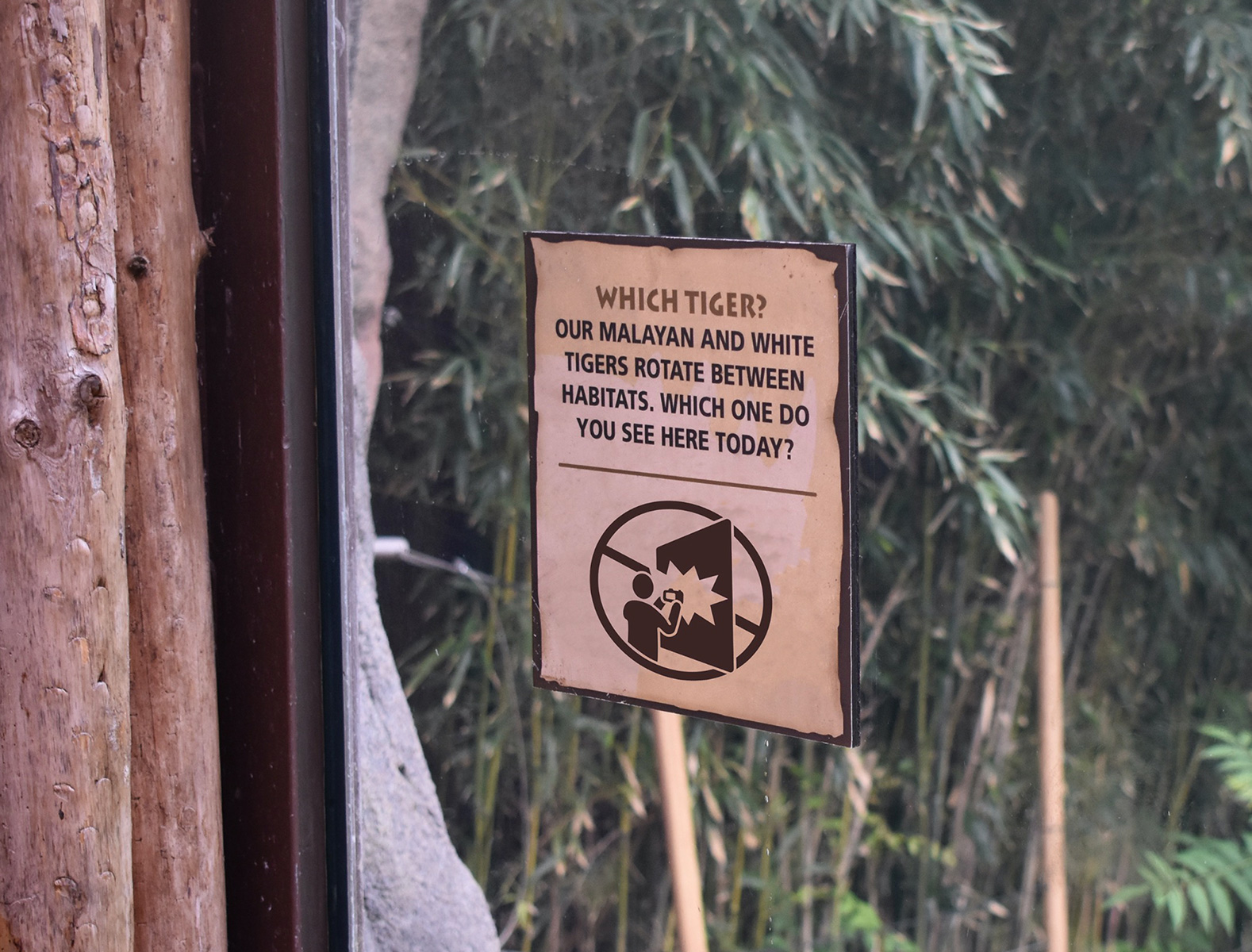 no flash photography sign on exhibit